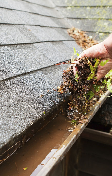 Cleaning a Rain Gutter