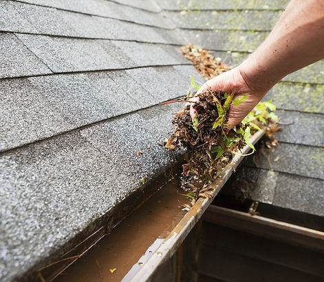 Cleaning Roof Gutter