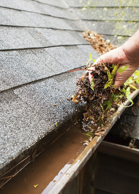 Cleaning a Rain Gutter