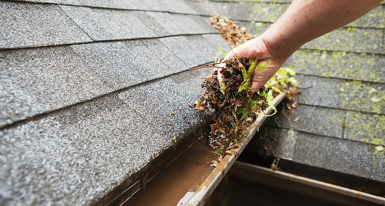 gutter debris removal Champaign IL