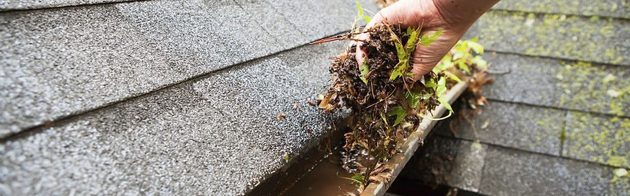 Cleaning a Rain Gutter