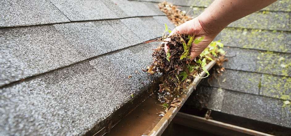 Cleaning a Rain Gutter