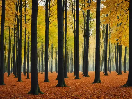 How to Embrace Change and Let Go: Thought of the Month