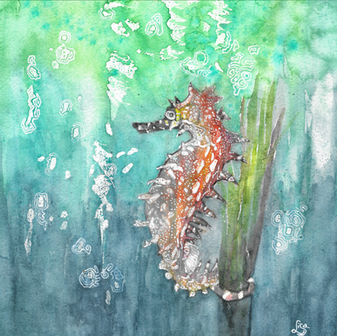 Seahorse - Watercolour wildlife painting inspired by the beauty and natural behaviour of its subject.