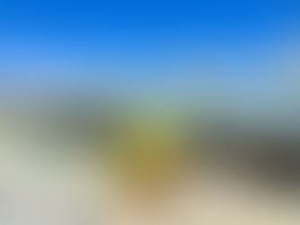 Carnaval em Maragogi: dias de descanso, mar azul-turquesa e conforto no Ibis Styles