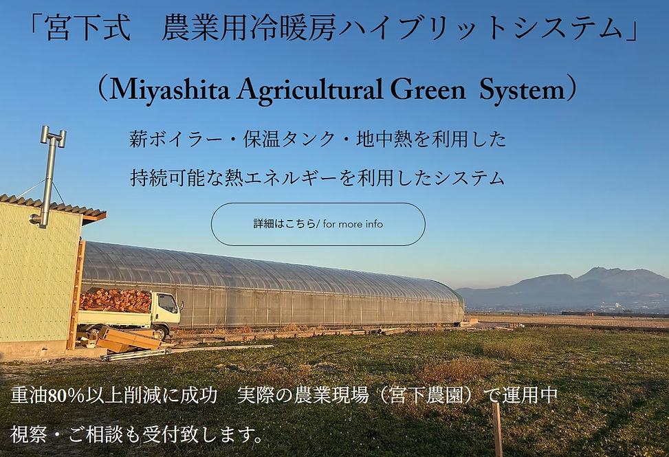 スクリーンショット_16-6-2026_111825_madderredcoltd.wixsite.com.jpeg