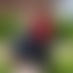 City of Promise Kicks Off Walking Bus