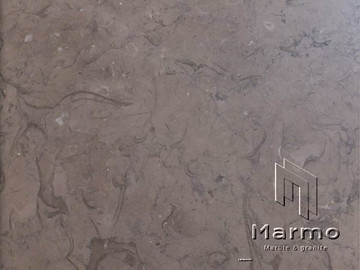 melly-grey-fossils-1.jpeg