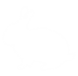 Untitled design (8).png