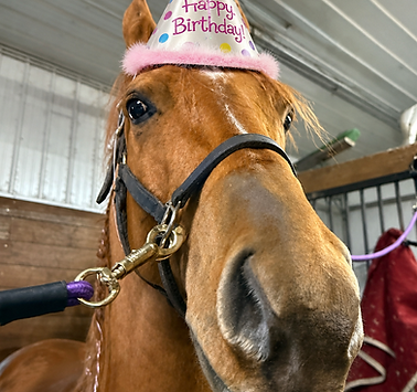 birthday party.png