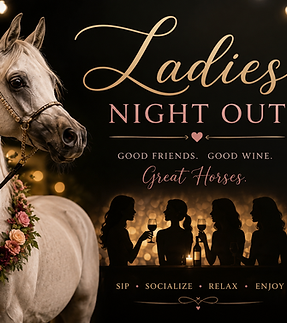 ladiesn ight out6af.png