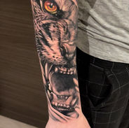 lion.jpeg