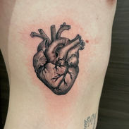 coeur anatomique