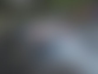 Mostert Crashes In P1