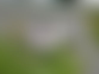 ThorSport/Cam Waters Score Top 5 Finish!