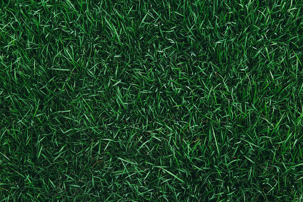 AdobeStock_308228563.jpeg