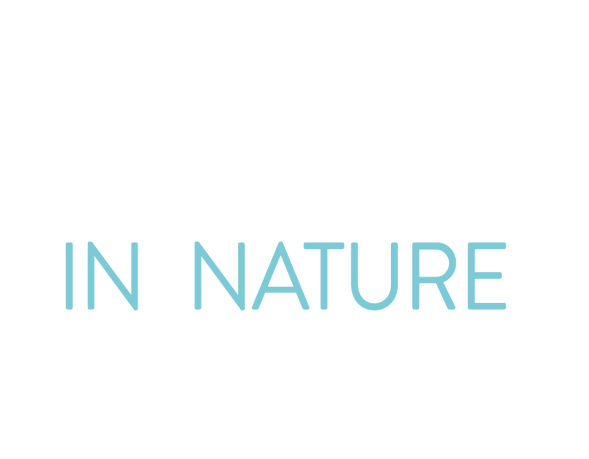 lightartfestival.png