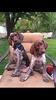 Fritz & ava 8.jpg