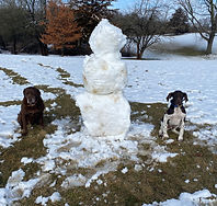 IMG_5969.JPEG