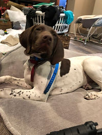 Tucker & Cooper 2.jpeg