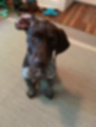lacey image4.jpeg