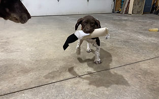IMG_5631.JPEG