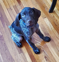 rockie 3.jpg