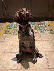Maggie 4.jpg