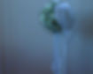 IMG_8864_edited.jpg