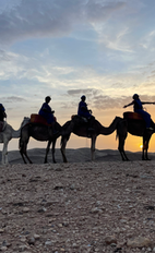 Marrakech, Morocco Group Trip Photo