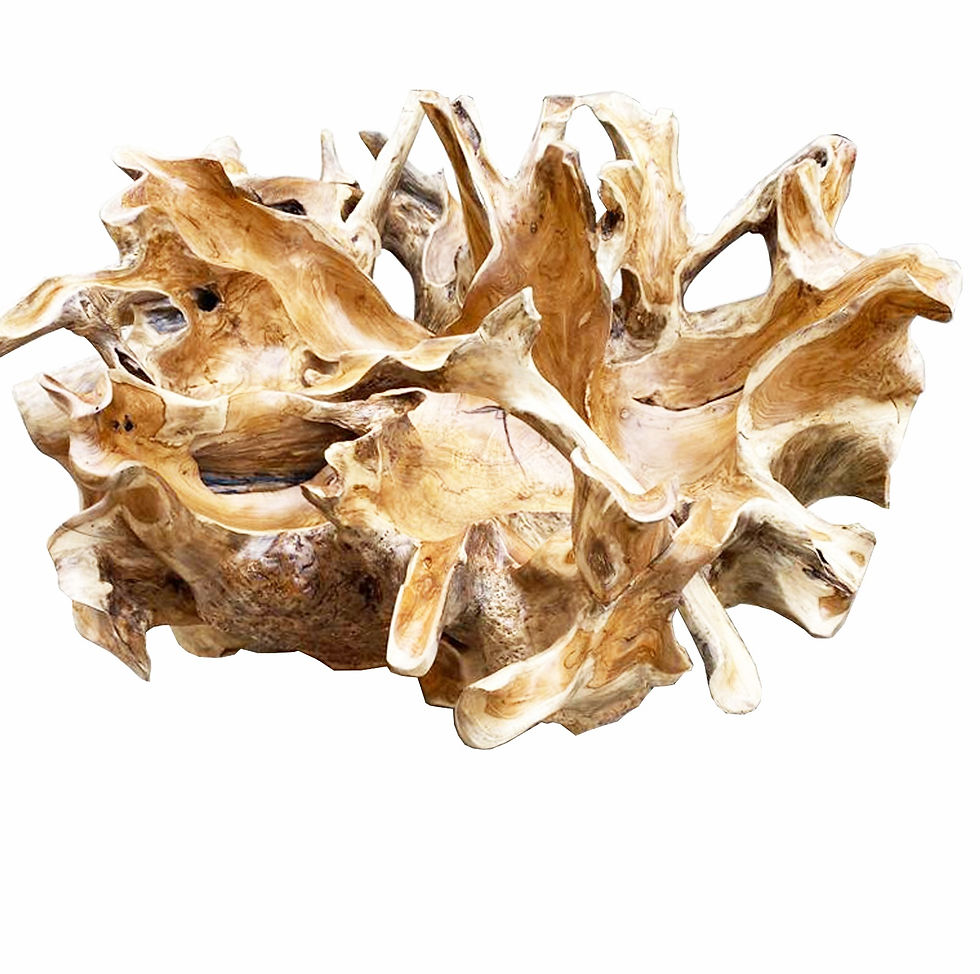 Thumbnail: 35" Round Carved Teak Root Coffee Table – Natural Finish