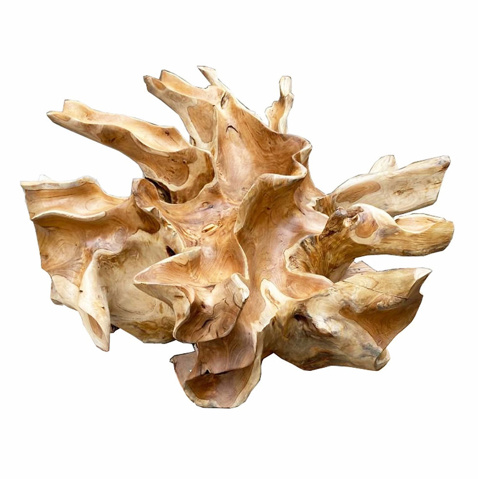 Thumbnail: 32" Whitewash Teak Root Coffee Table (Glass Top Not Included)