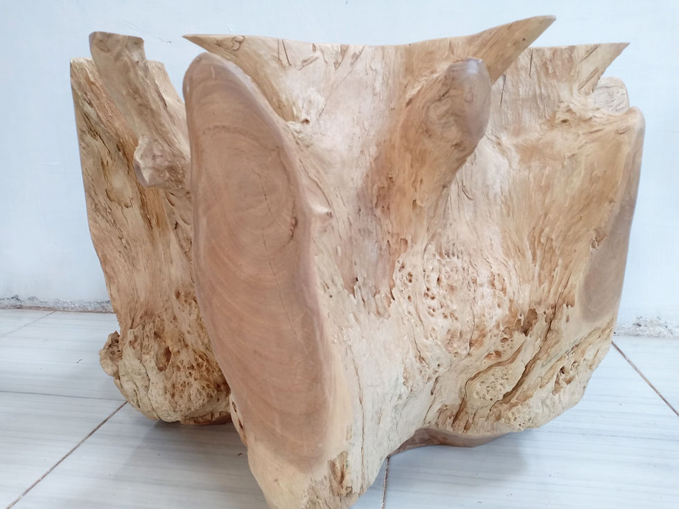 Thumbnail: 28" Whitewash Carved Teak Root Coffee Table