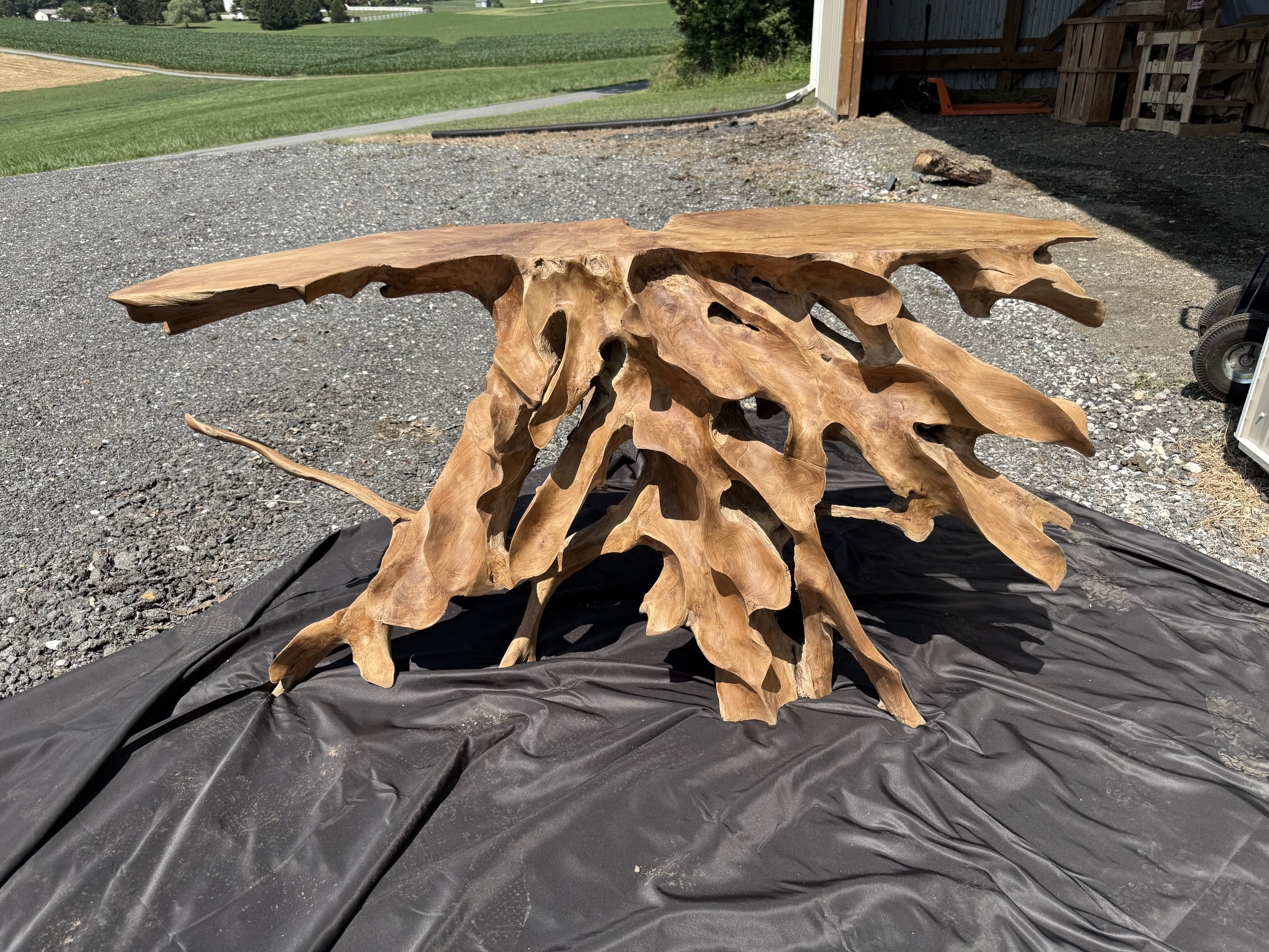 59" Carved Teak Root Console Table