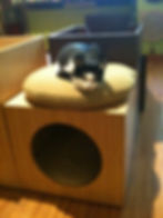 Thumbnail: Gatto Pouf Cat Cushion