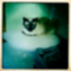 Thumbnail: Gatto Pouf Cat Cushion