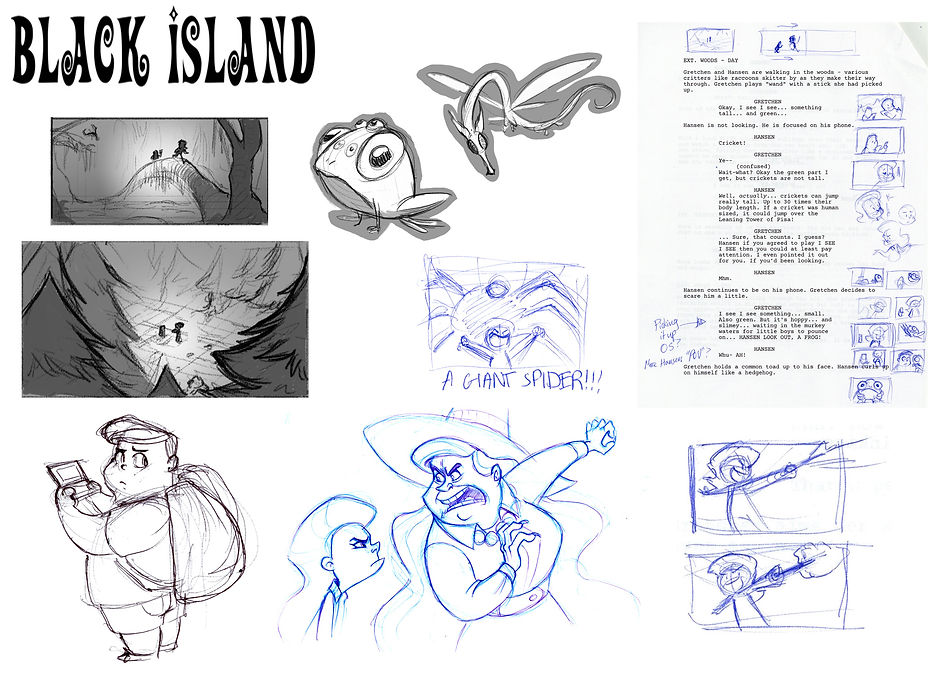 portfolio_slides_blackisland.jpg