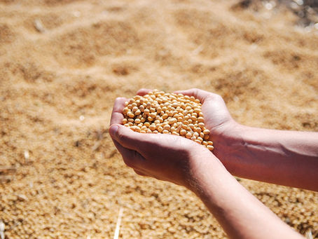 O ESG e seus impactos no agronegócio