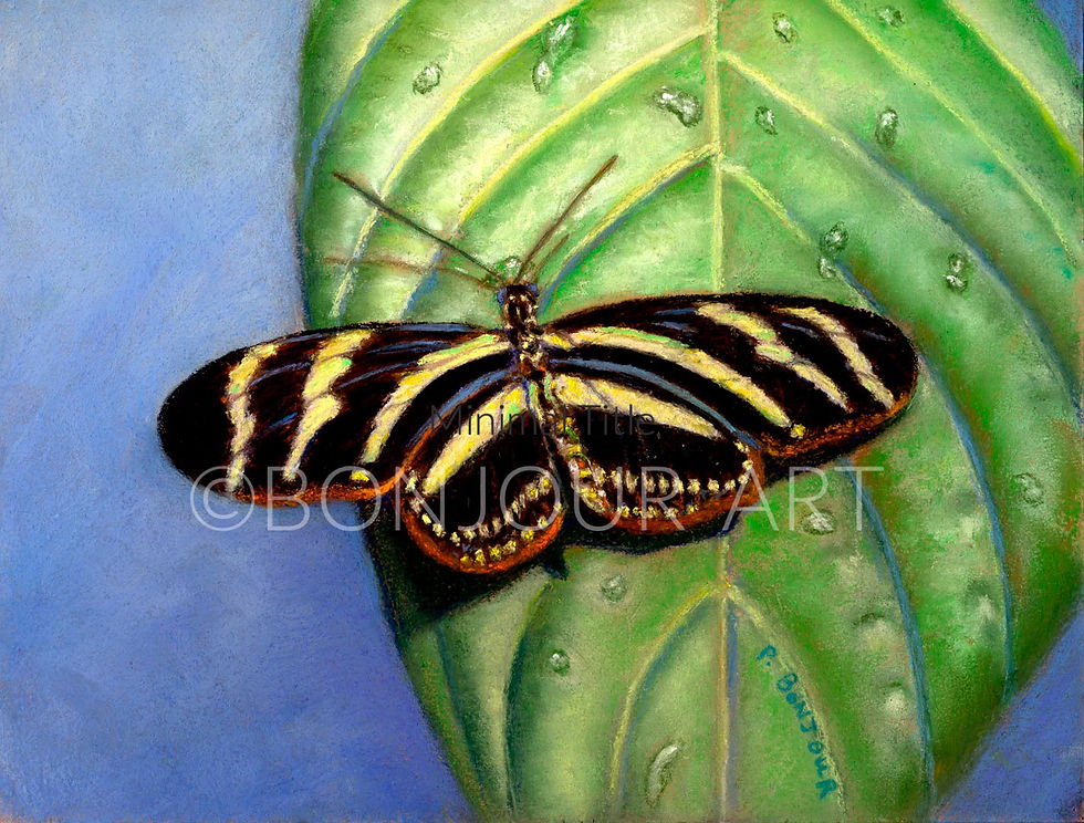 Originally a pastel painting, "Zebra Longwing" now comes in unique blank notecards and prints.