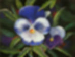"Blue and White Pansies" now comes in various sizes of prints as well as notecards.