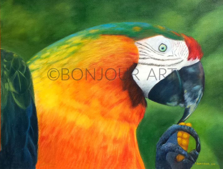 Originally a vibrant oil painting, "Parrot" now comes in unique blank notecards and prints.