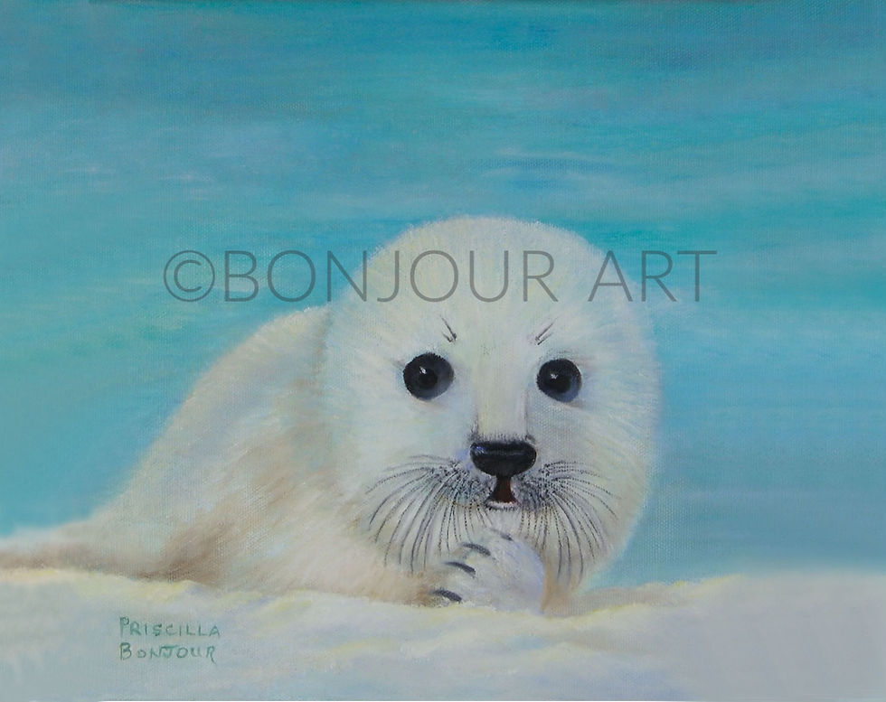 Originally an oil painting, "Seal Pup" now comes in unique blank notecards and prints.