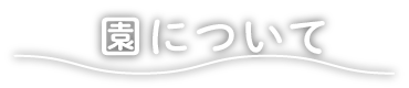 en_copy.png