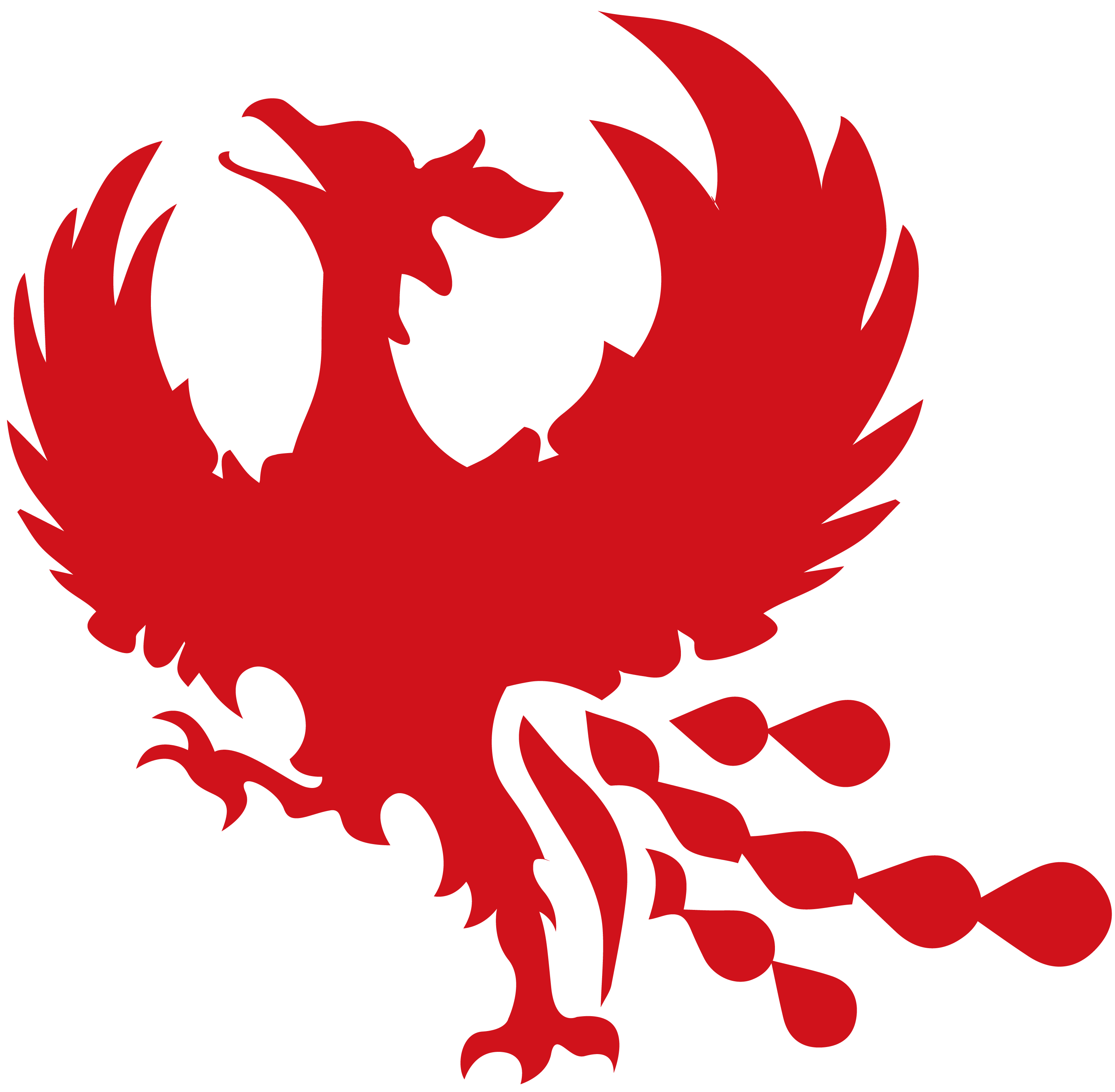 1411phoenix_logo_mark.png