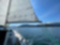 IMG_1669 2.jpeg