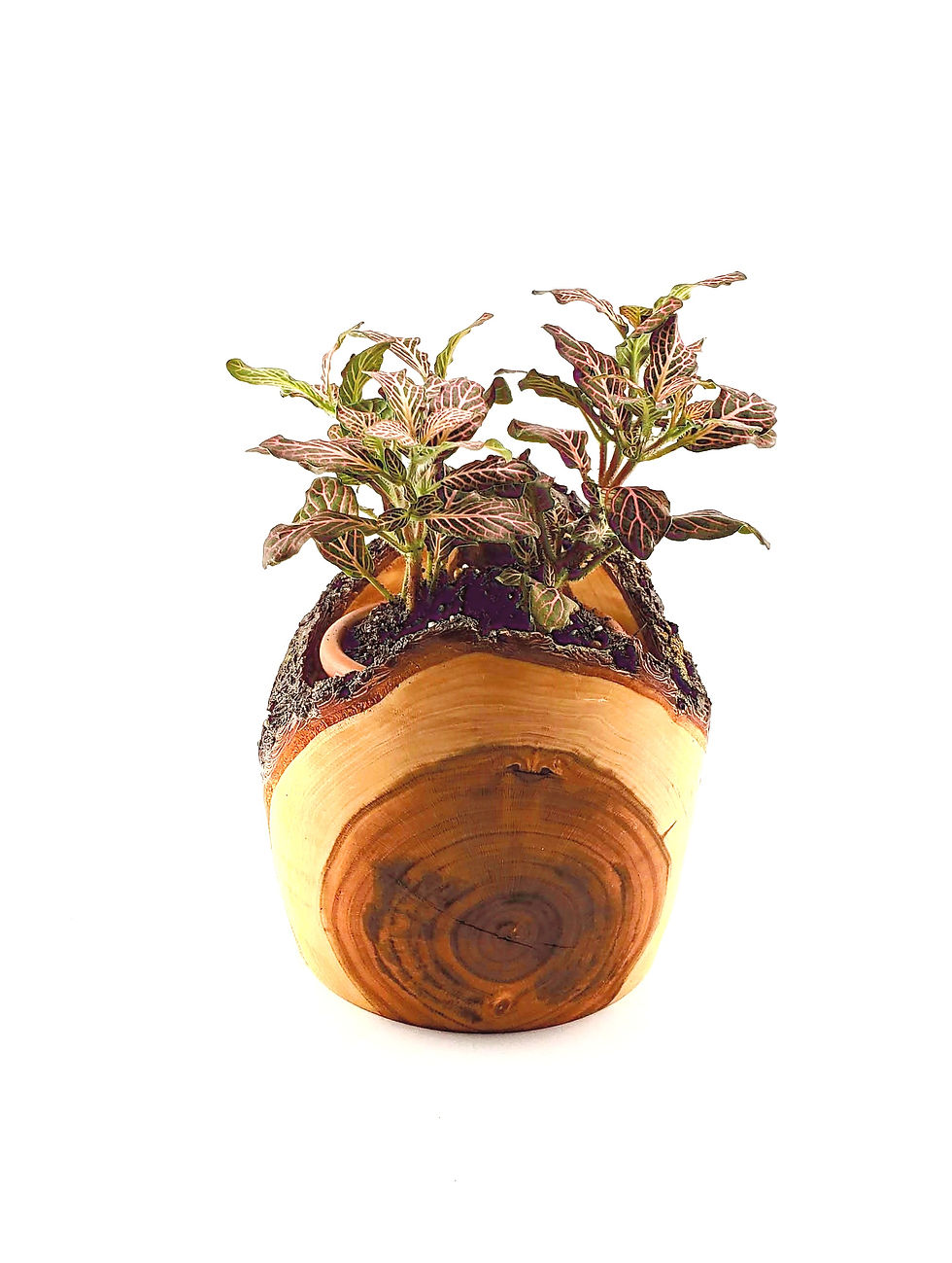 Thumbnail: Medium small flower pot