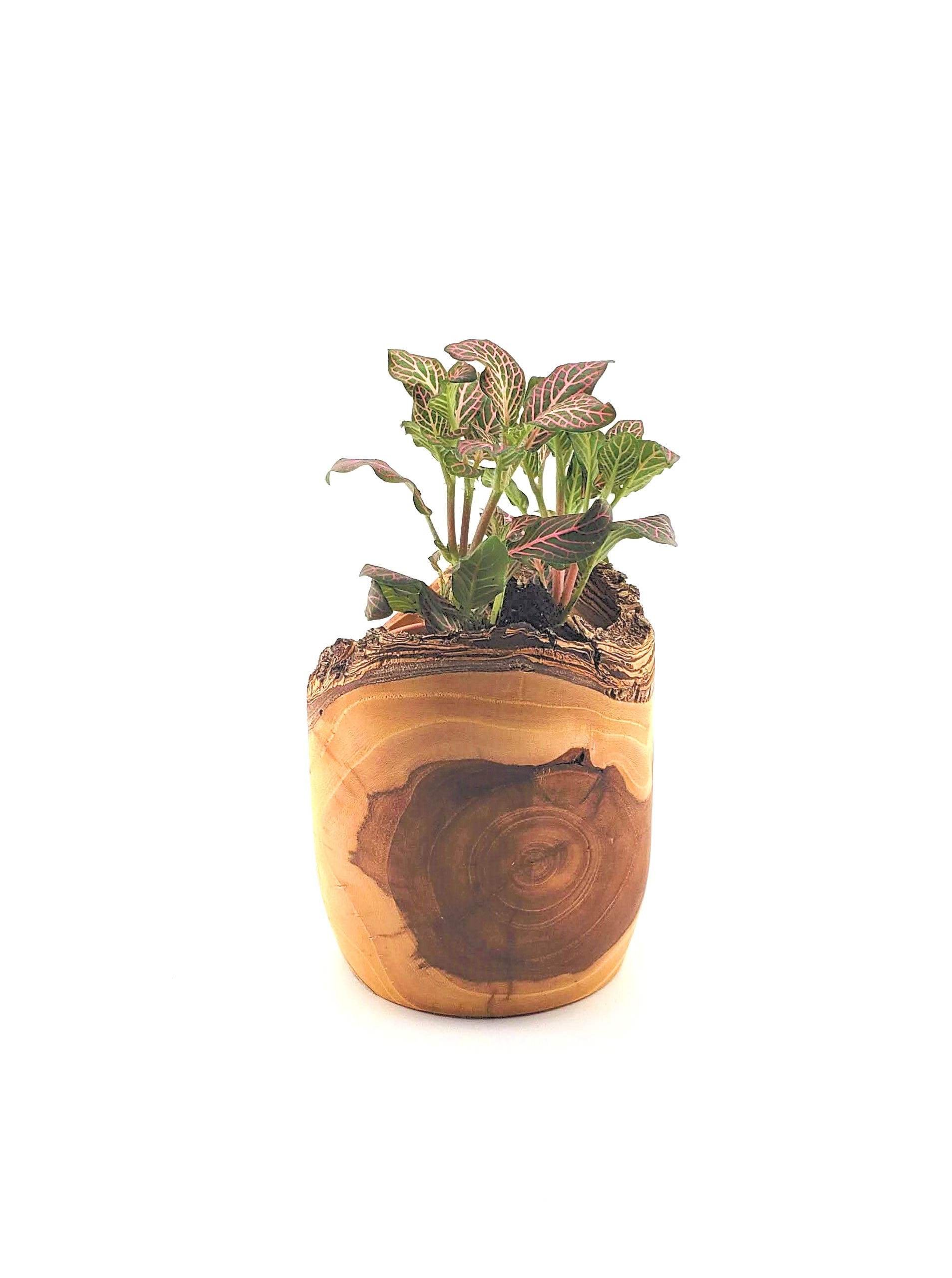 Small Flower Pot