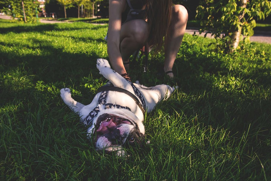 pexels-photo-168023-1024x683-1024x683.jpeg