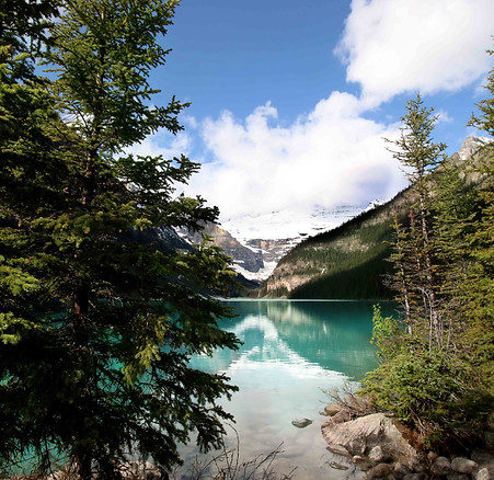 Lake Louise Through Trees.jpg