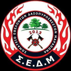 sedm firefighters